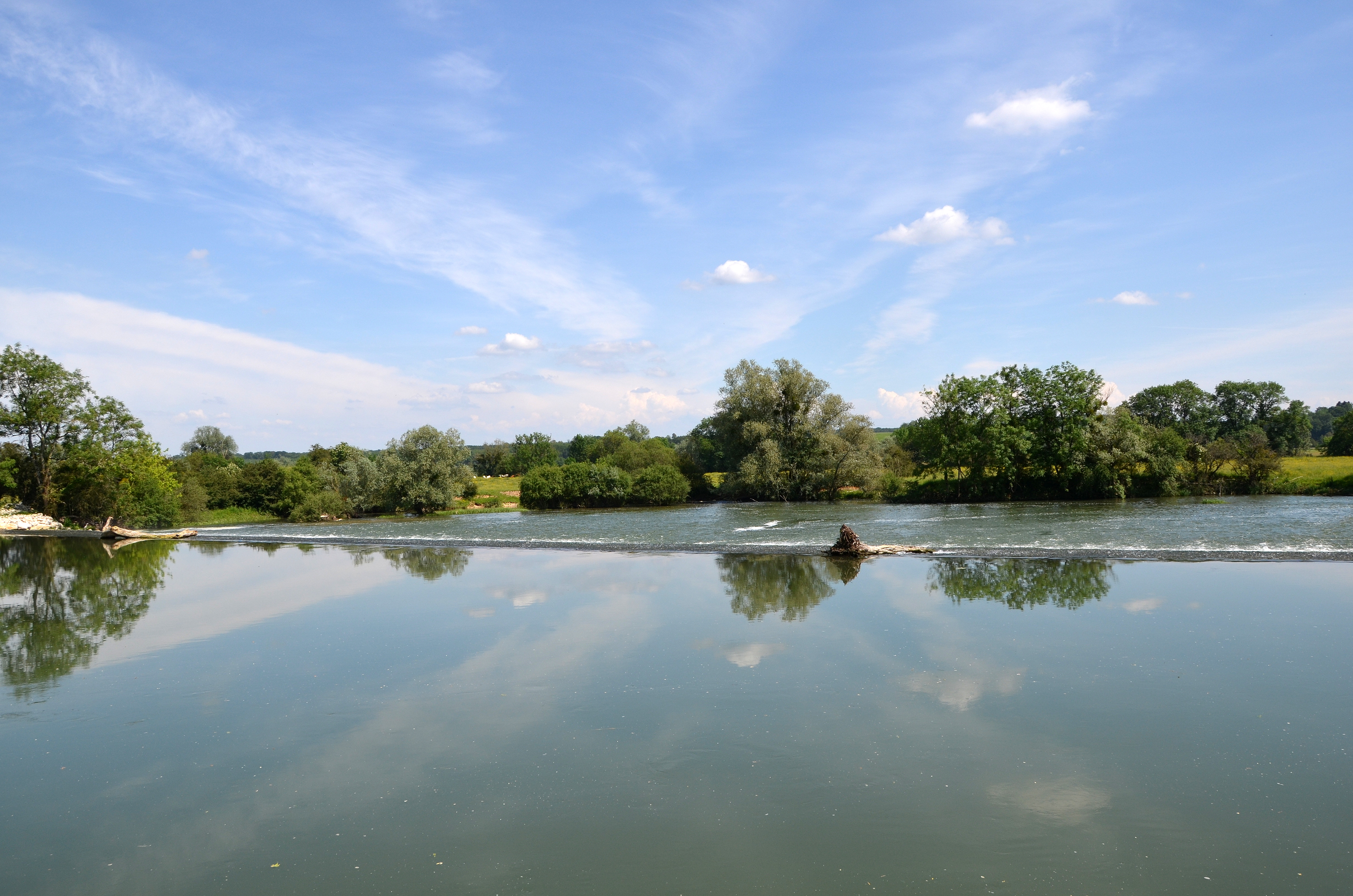 Le Doubs vers Audelange DSC 0575