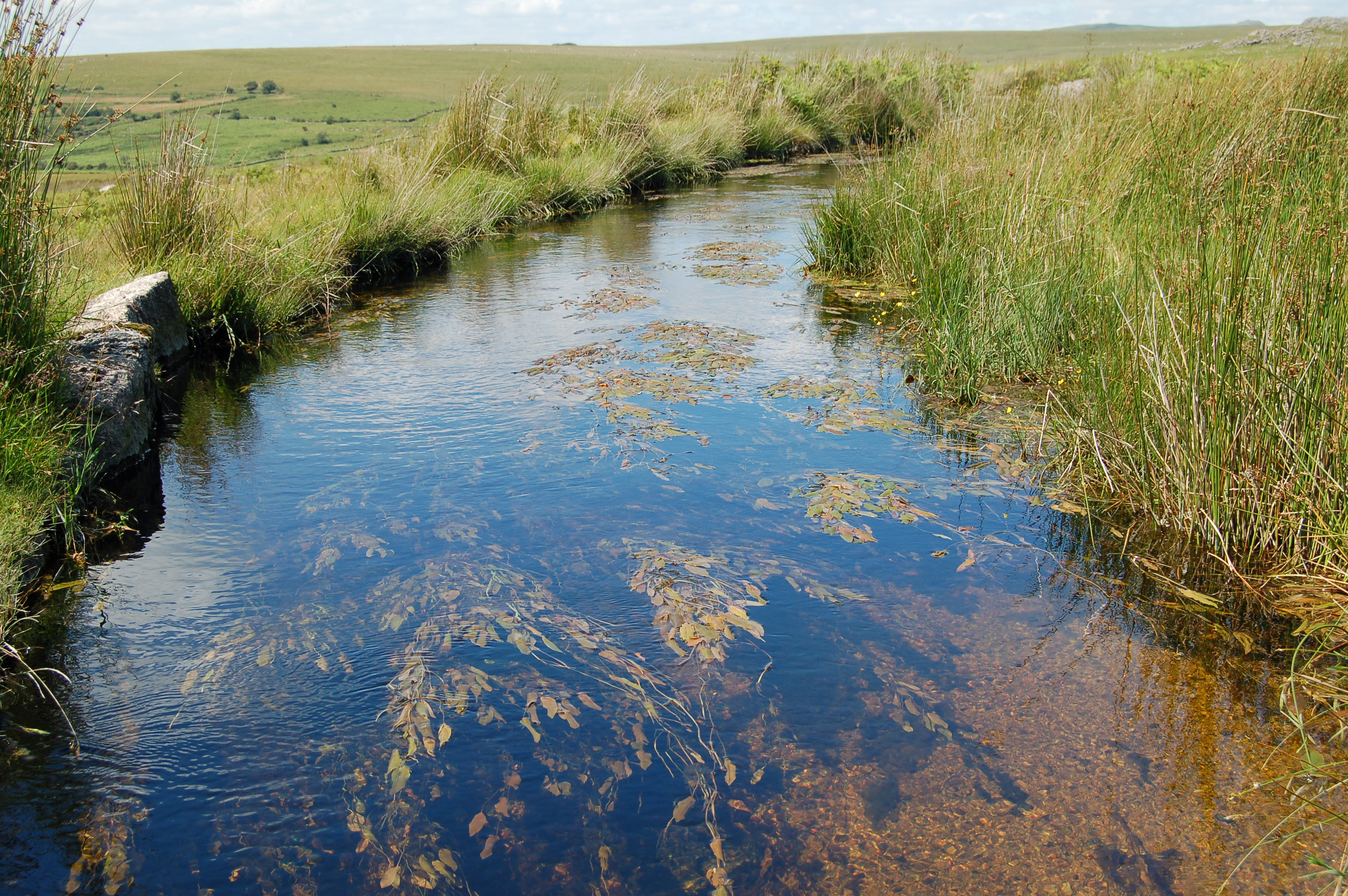 Lee Moor Leat
