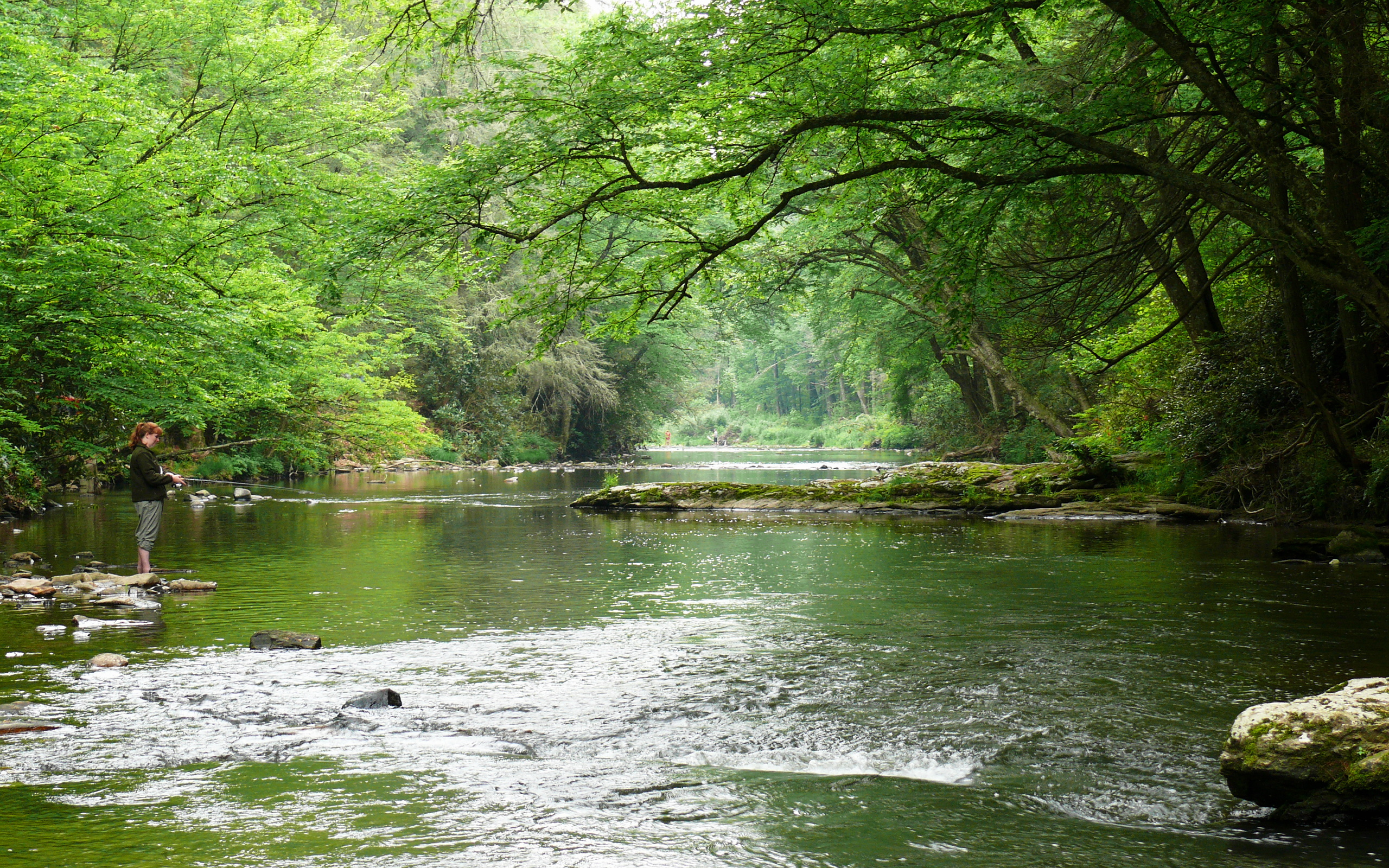 Linville River-27527