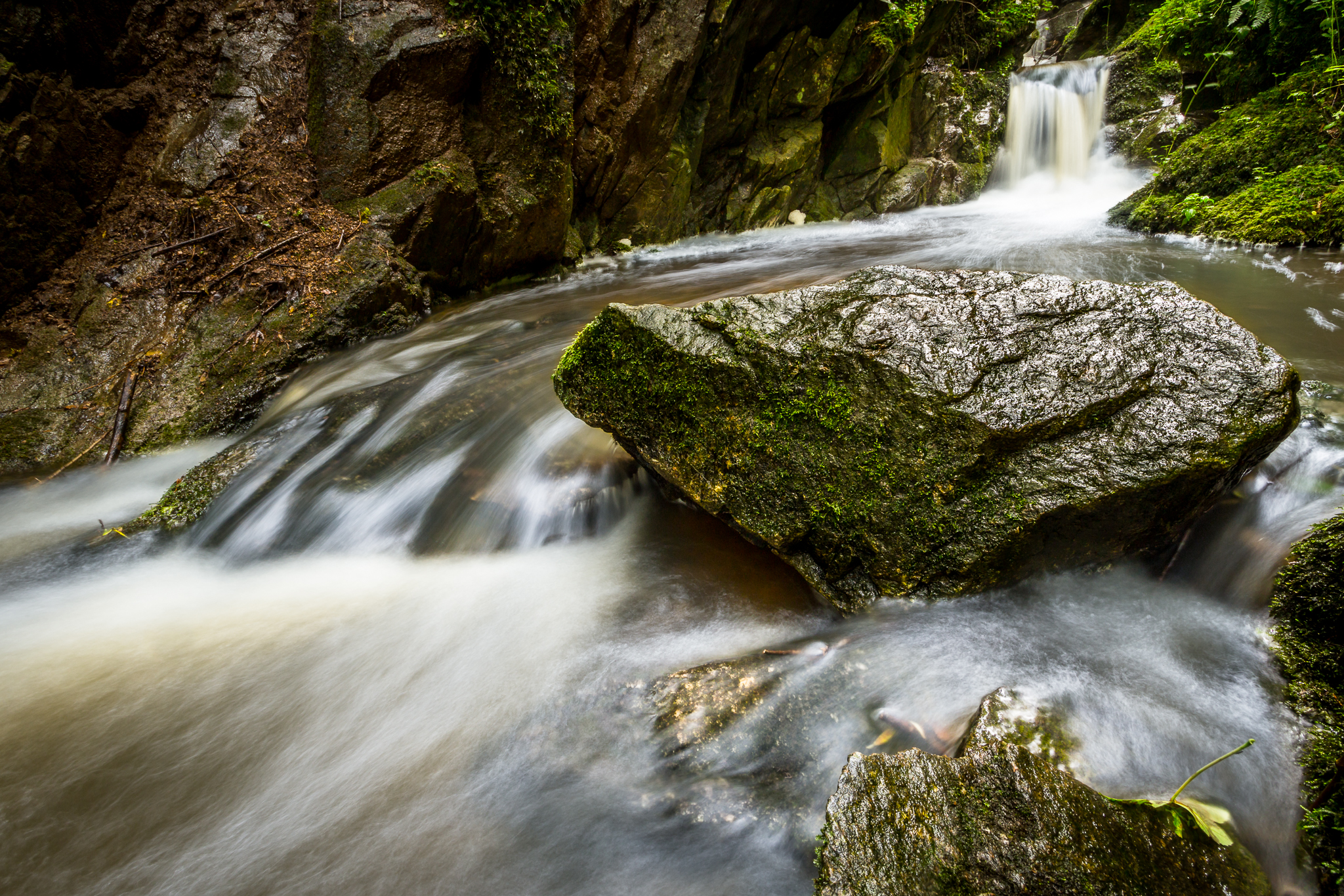 Lotenbachklamm (15045795195)