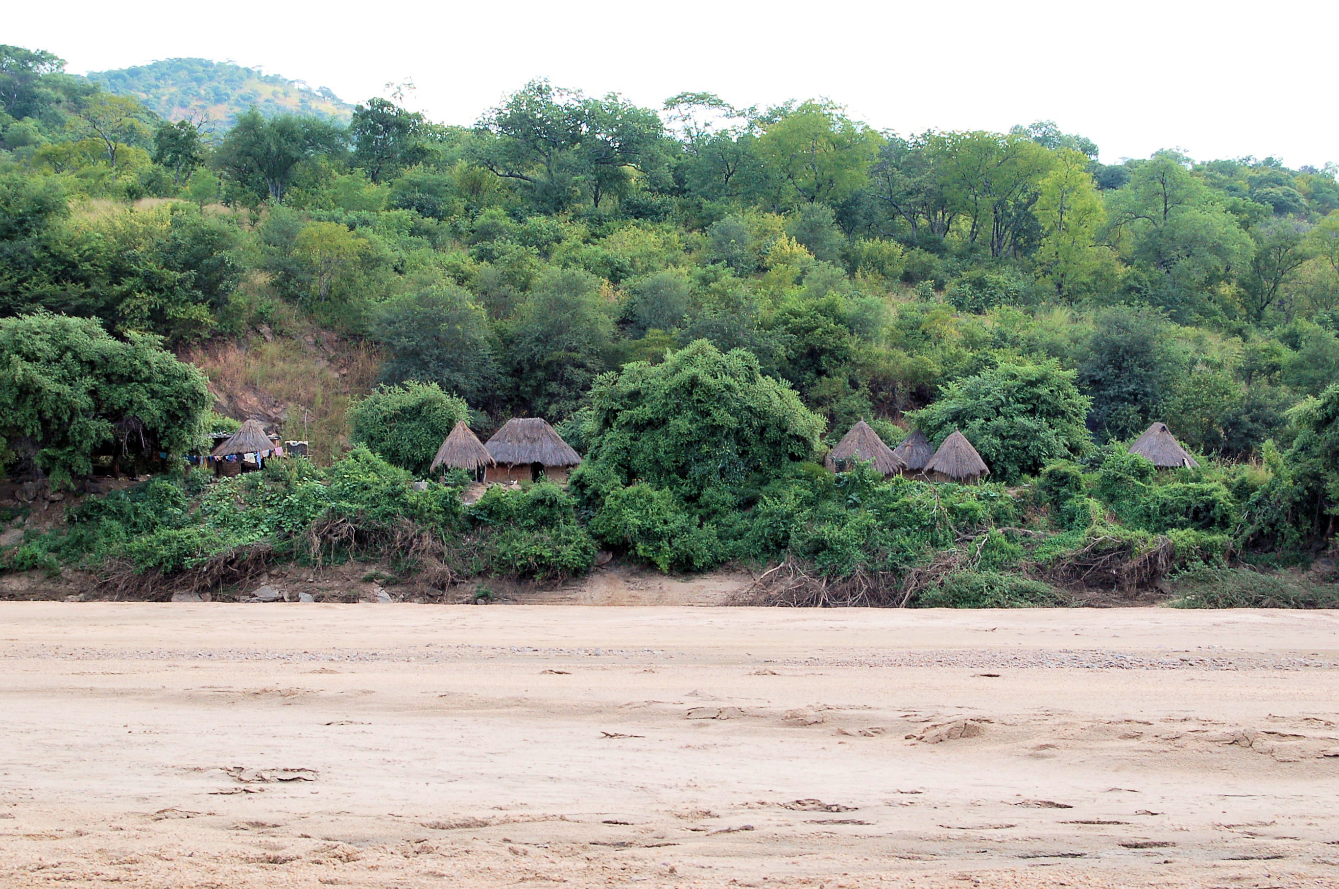 Luangwa River, Zambia (2506461118)