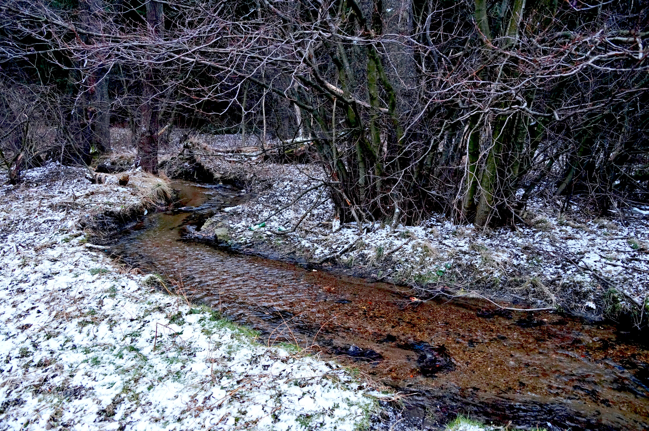 Miłkówka