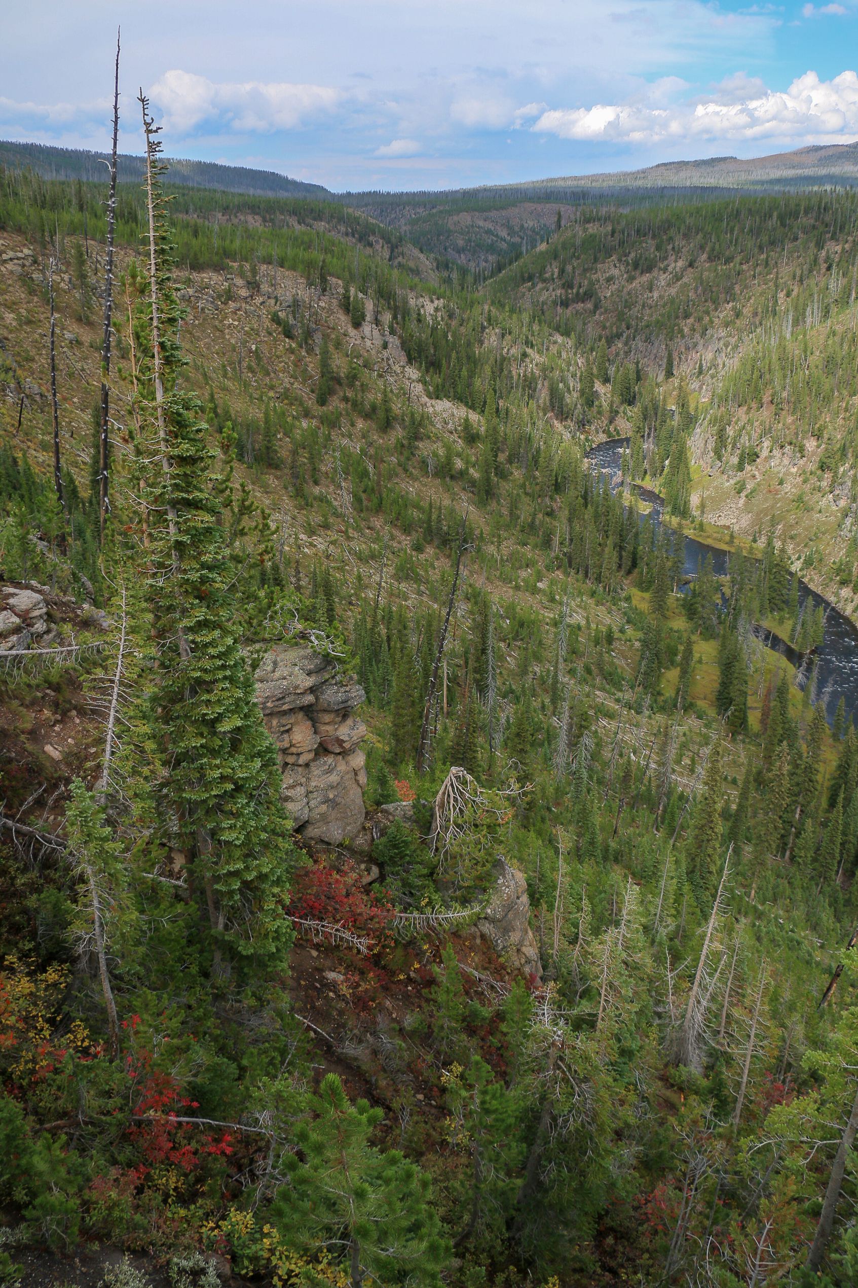 MK01578 Lewis River
