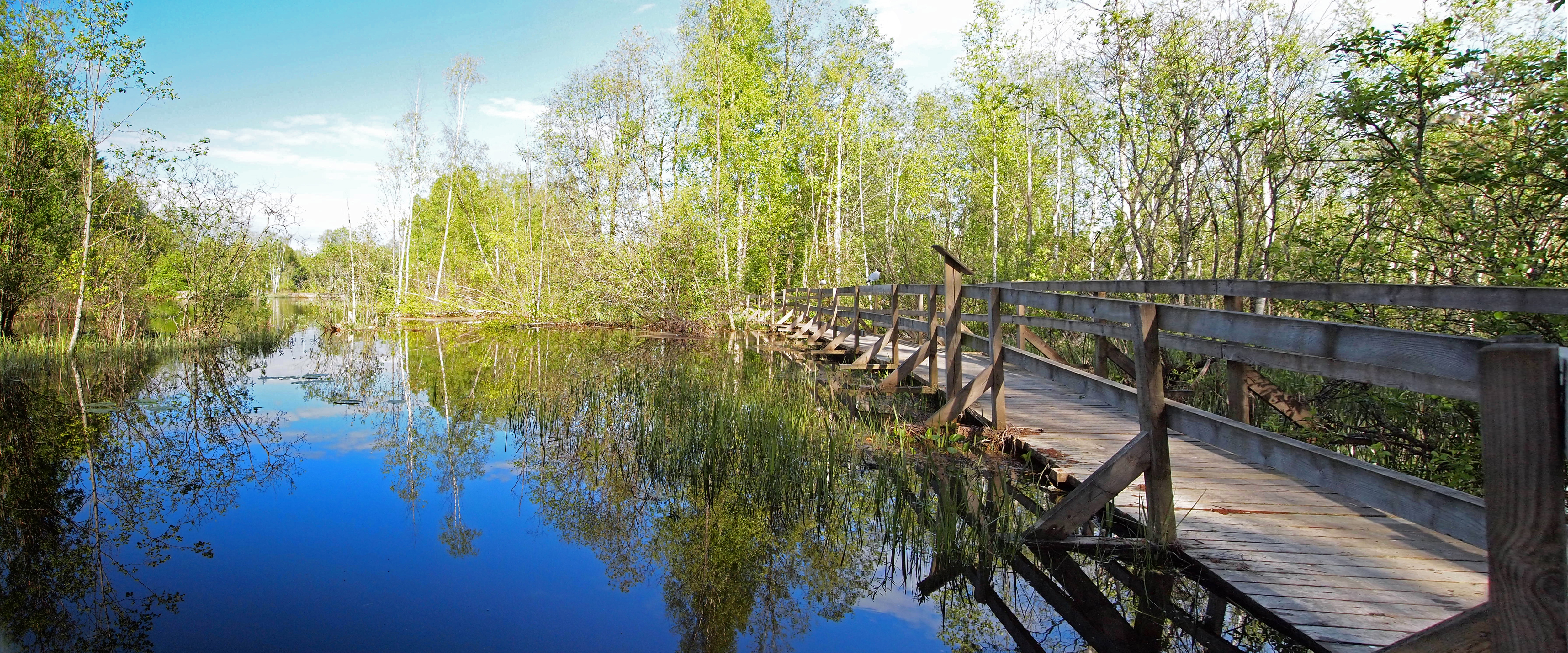 Muurame nature trail