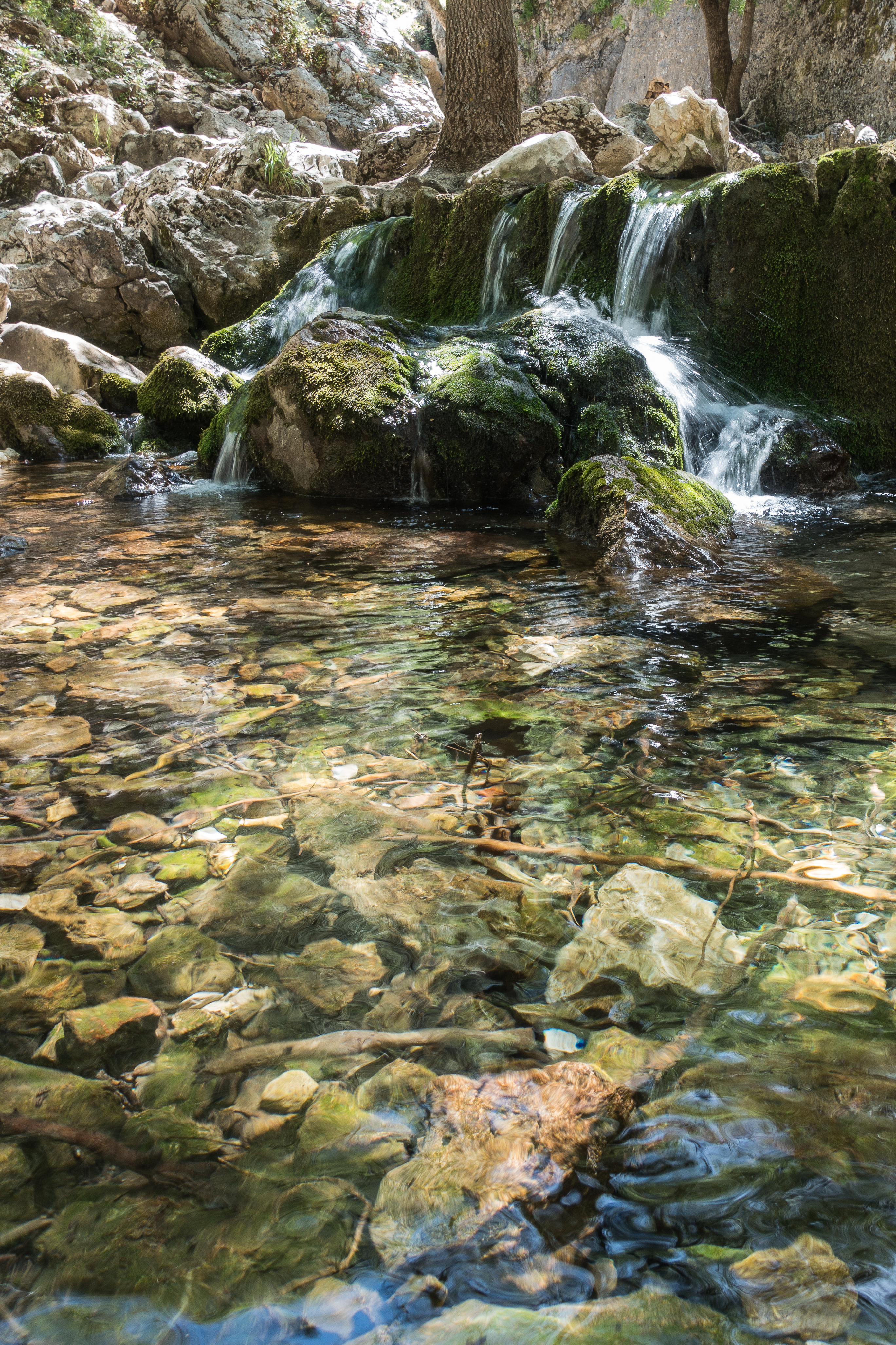 Nacimiento del Guadalquivir 4