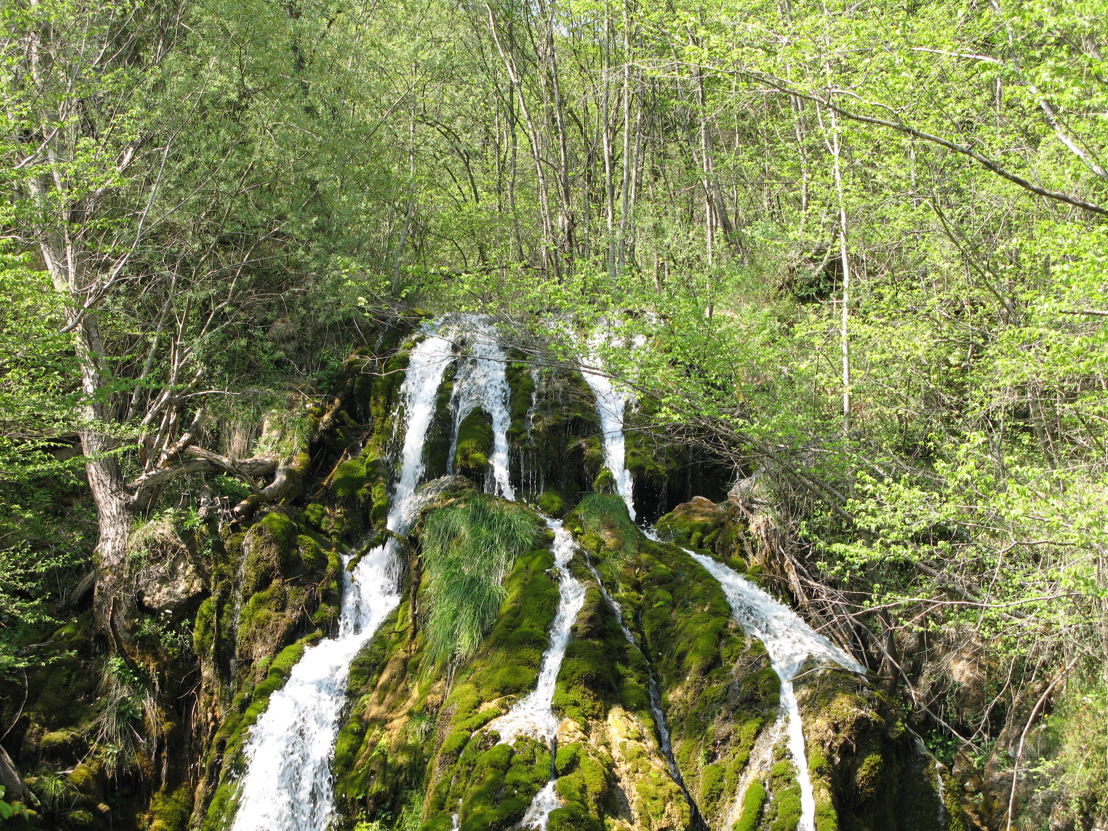 Nežica-1