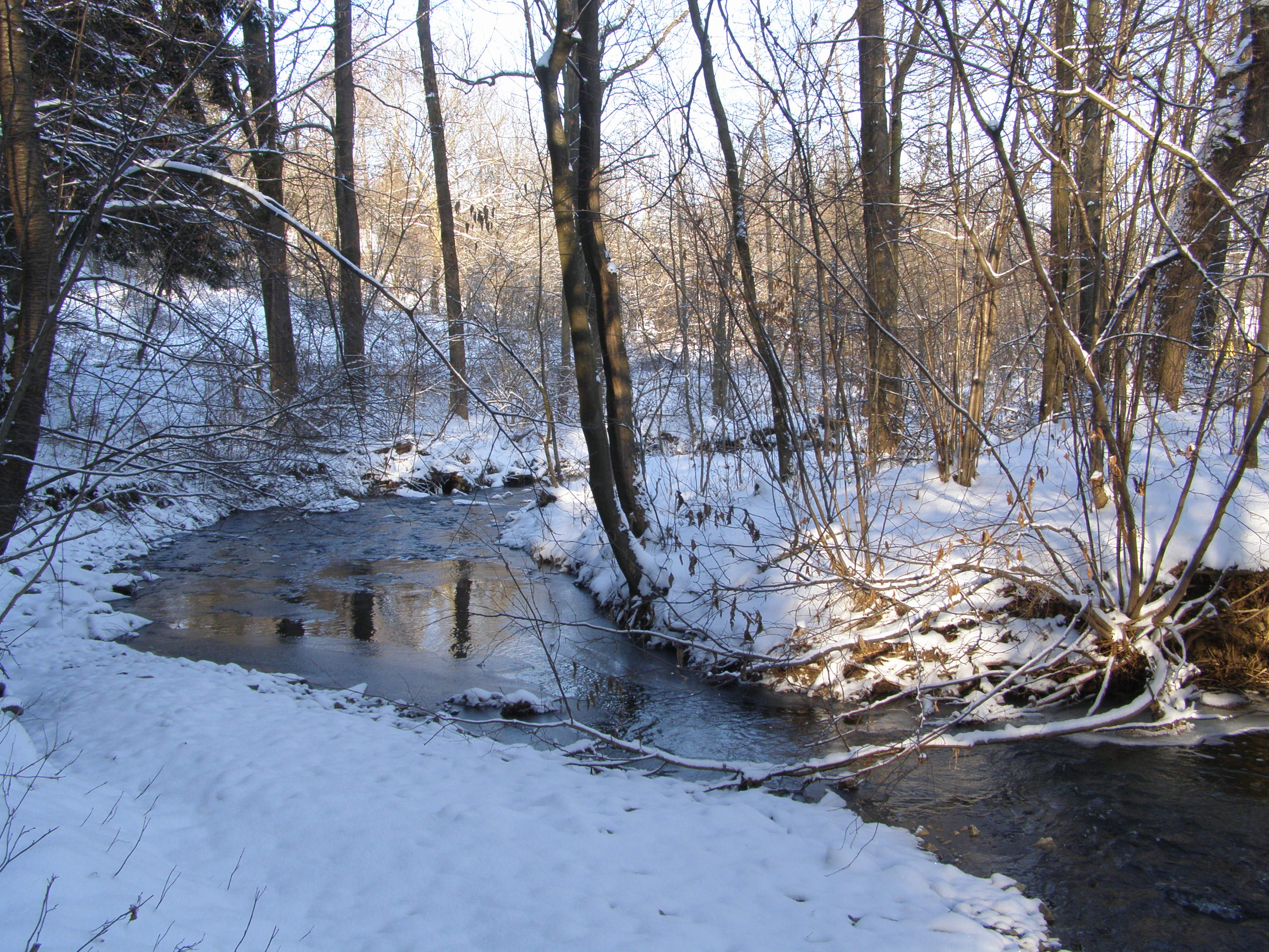 Olešná, Metylovice, horní tok 03