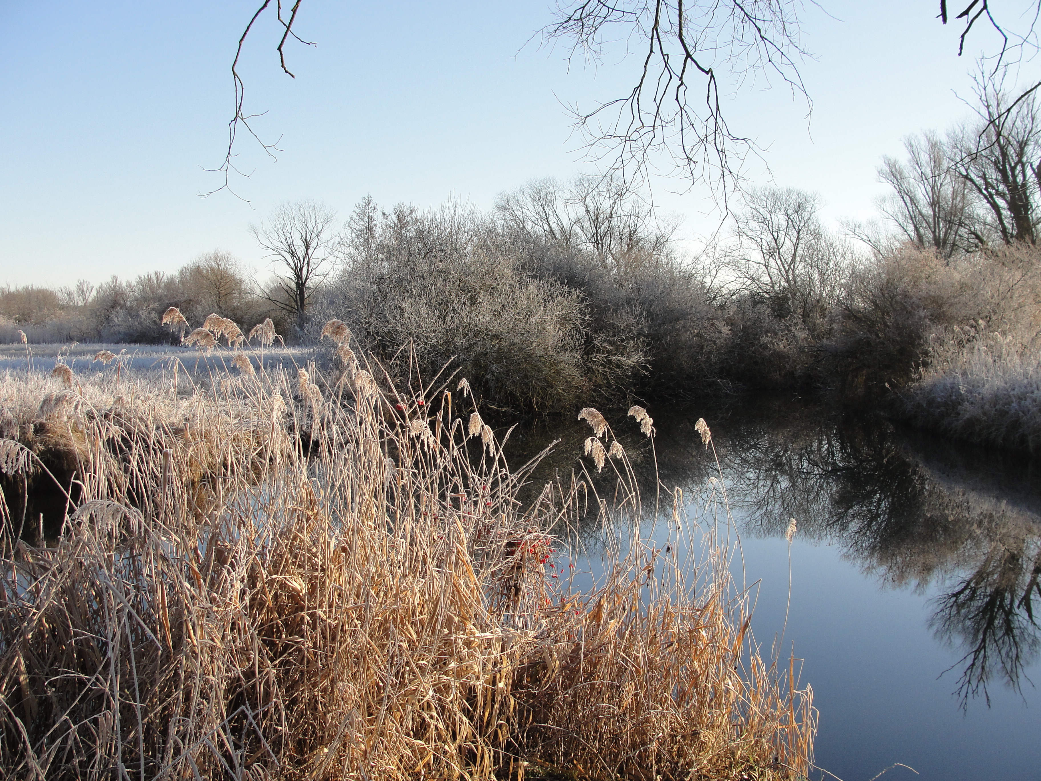 Paartal-Altwasser-Winter