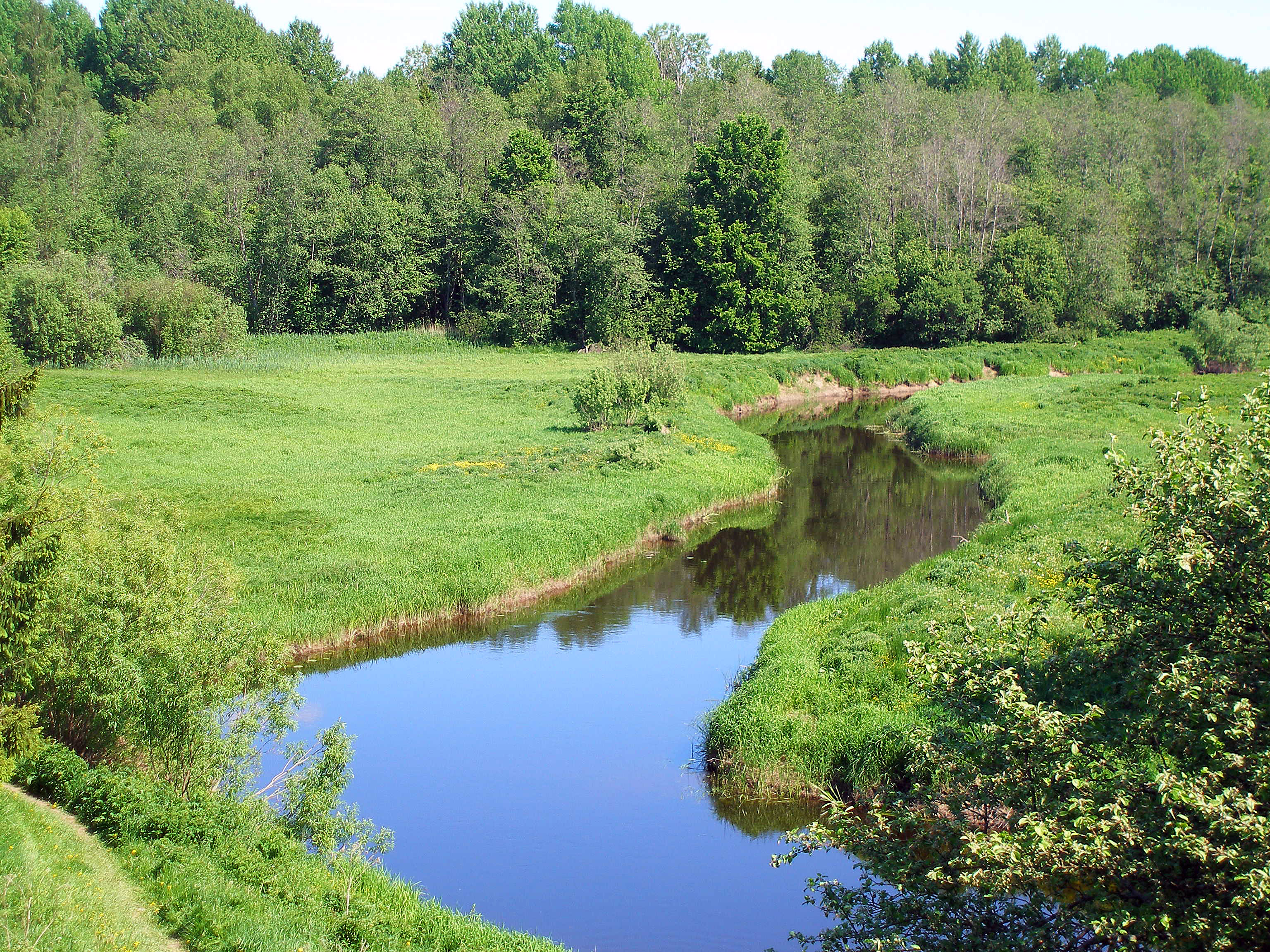 Pedja River at Altmetsa
