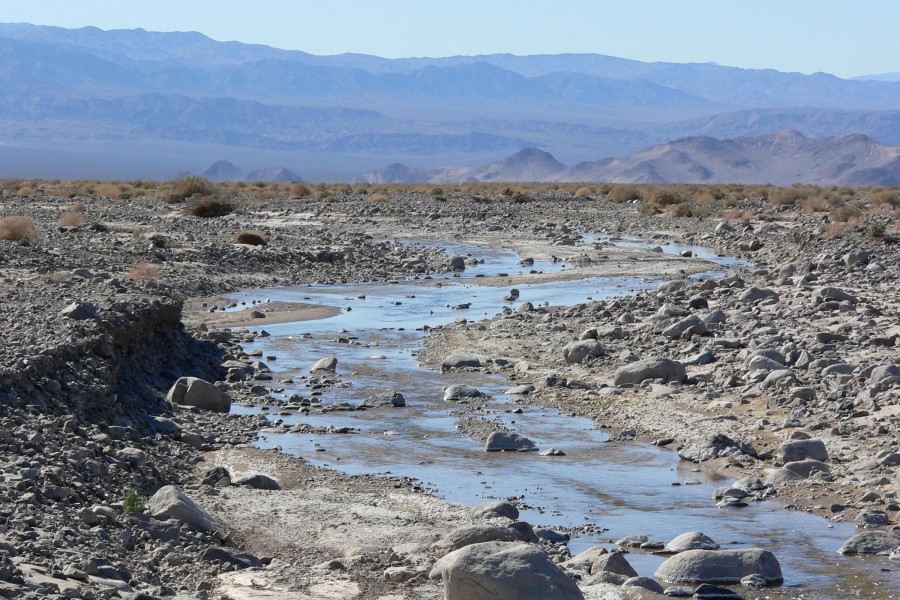 Amargosa River at Dumont Dunes 2