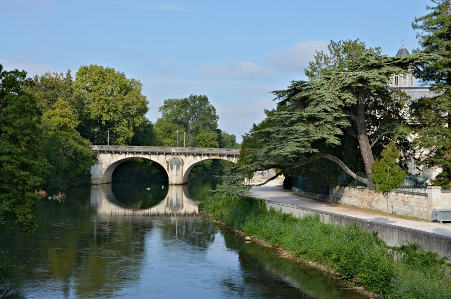 Angoulême 16 pont Charente&cèdre 2013