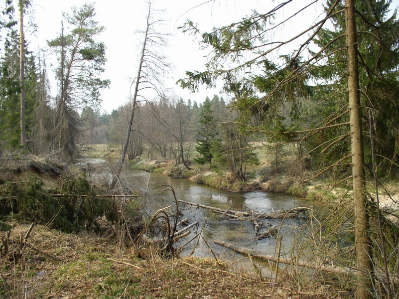 Belarus-Islach River-11