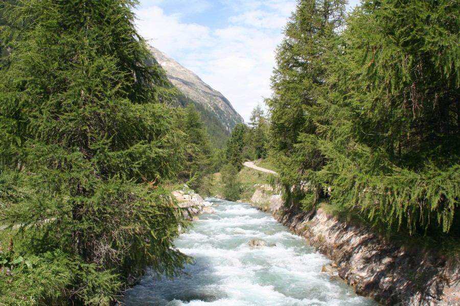Beverin