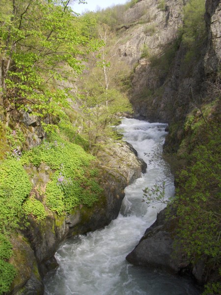 Bjala reka2