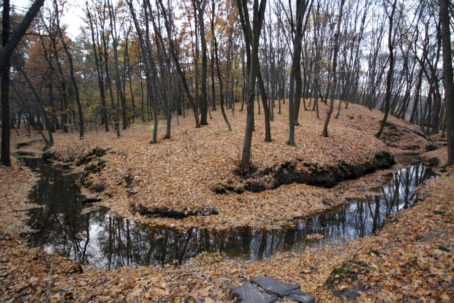 Голосіївський парк імені Максима Рильського 3921