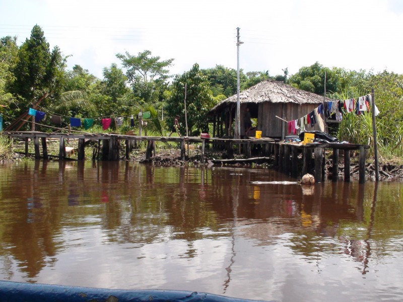 Delta del Orinoco 110514-9