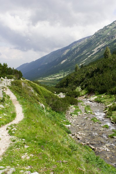 Demjanitsa river upper