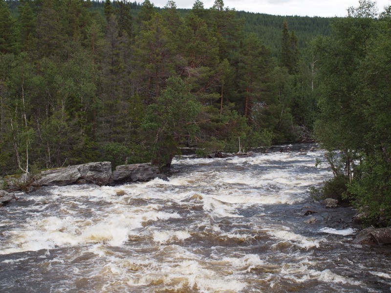 Fluss in Mittelschweden