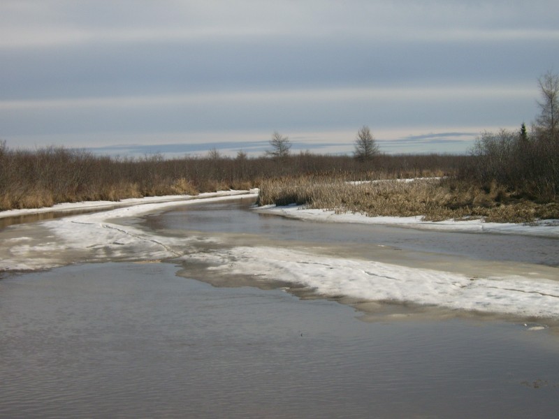 Frozen Big Carp River 1