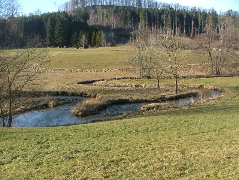 Günz6