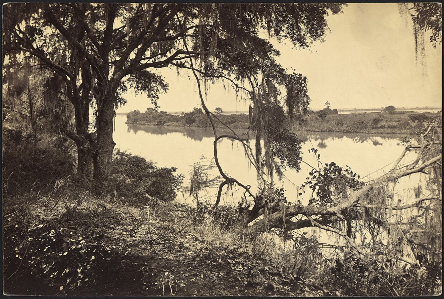 Georgia, Savannah River, near Savannah - NARA - 533420