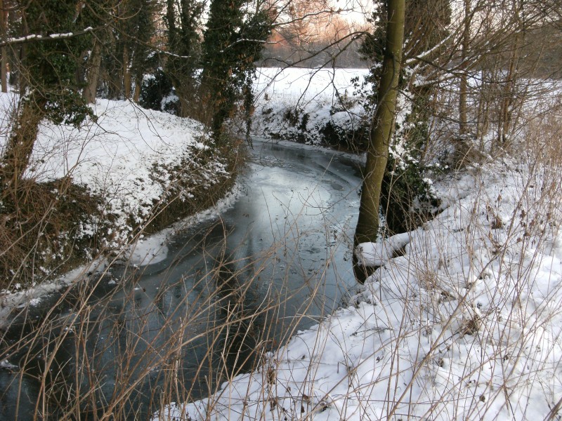 Geul near Meerssen 1