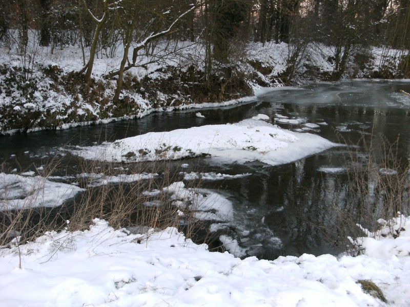 Geul near Meerssen 4