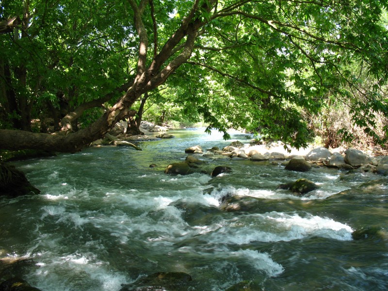 Hazbani river
