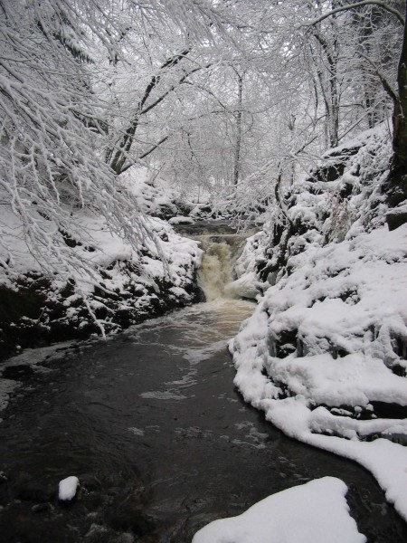 Hoegne sous la neige2