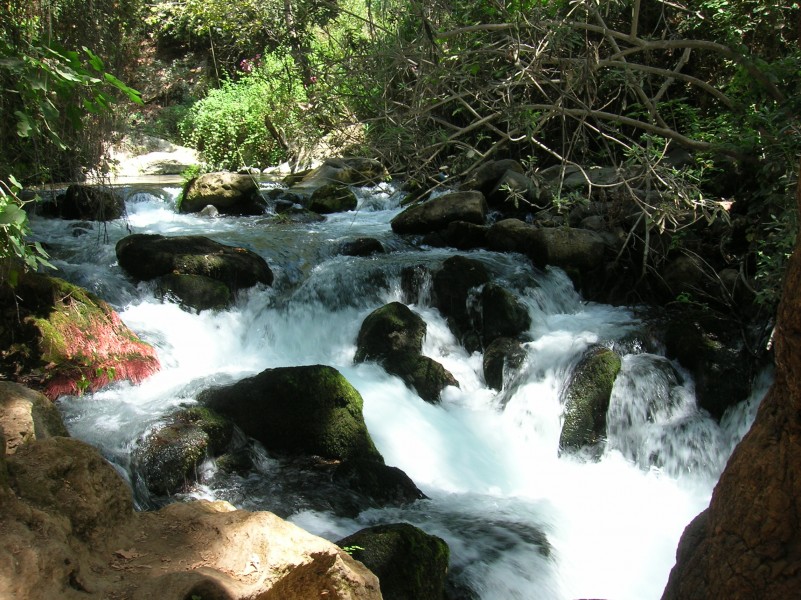 Israel - Banias waterfalls 001
