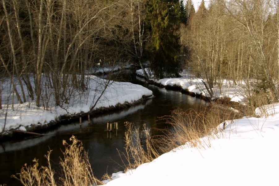 Jänijõgi Jänedal