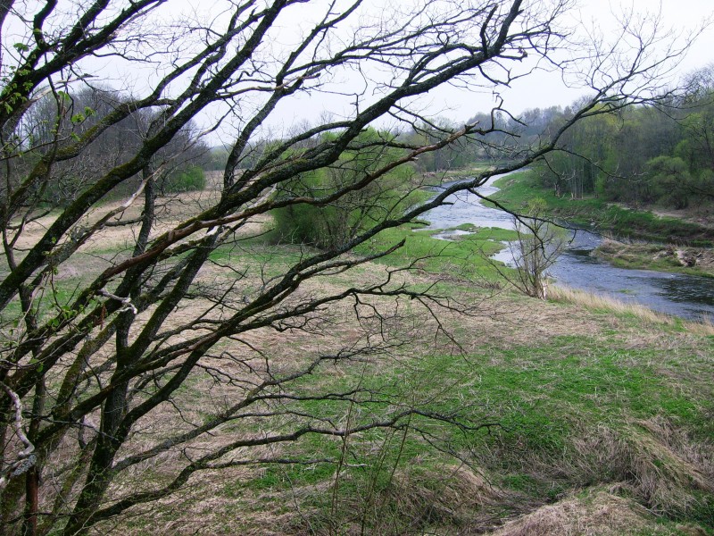 JūrosSlėnis2