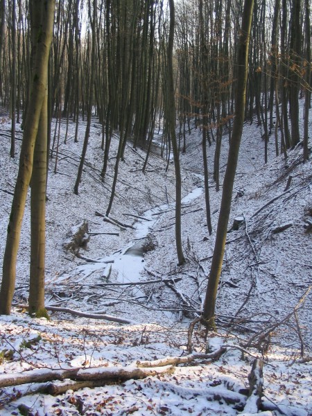 Kleinbreitenbach Quellgebiet 281