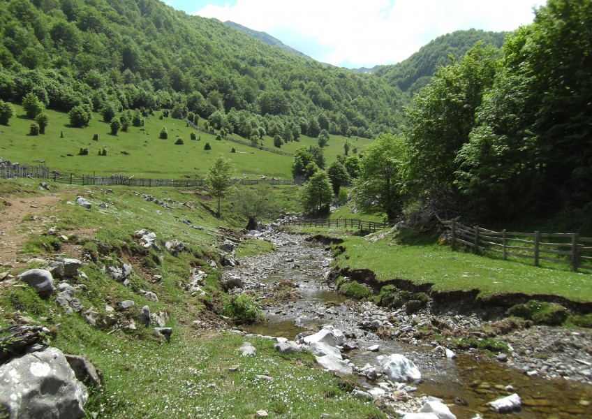 Lepush 25