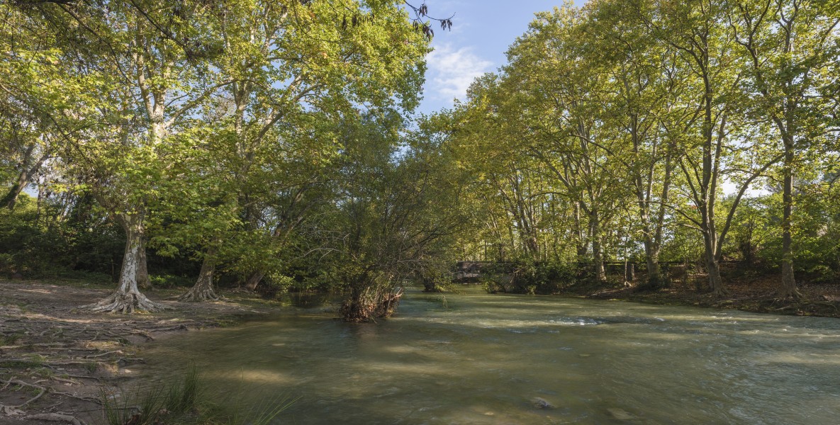 Lez River in Domaine de Restinclières, Prades-le-Lez