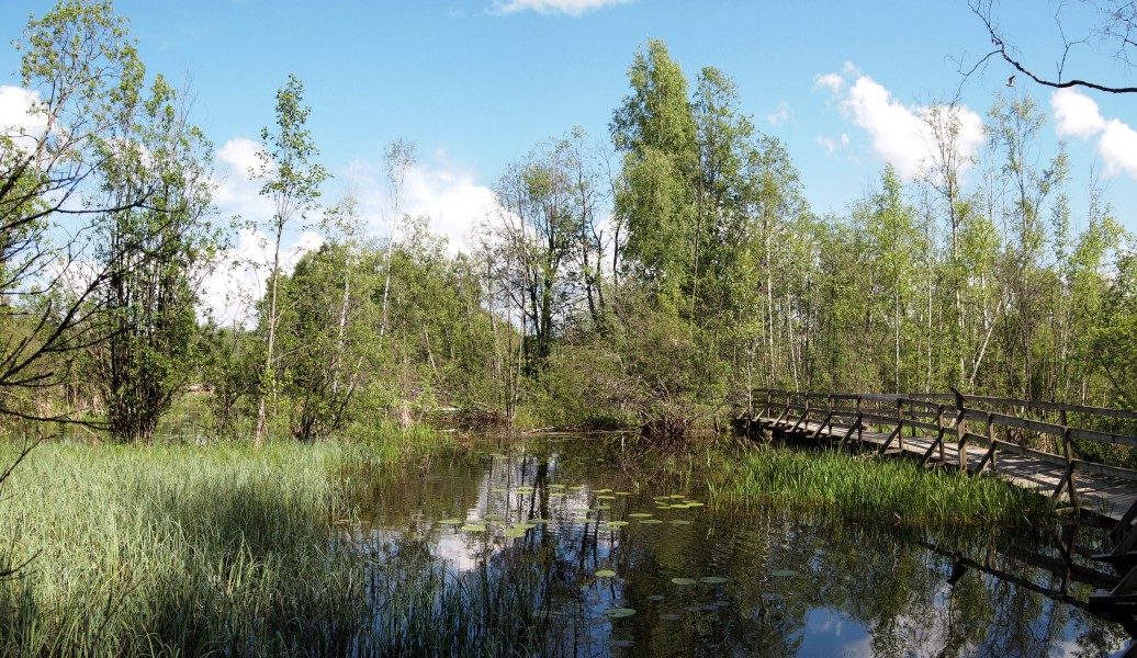 Muurame nature trail4