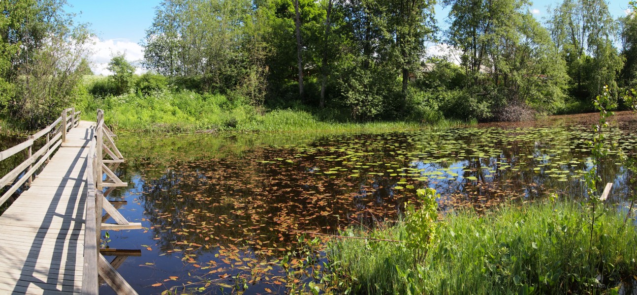 Muurame nature trail6