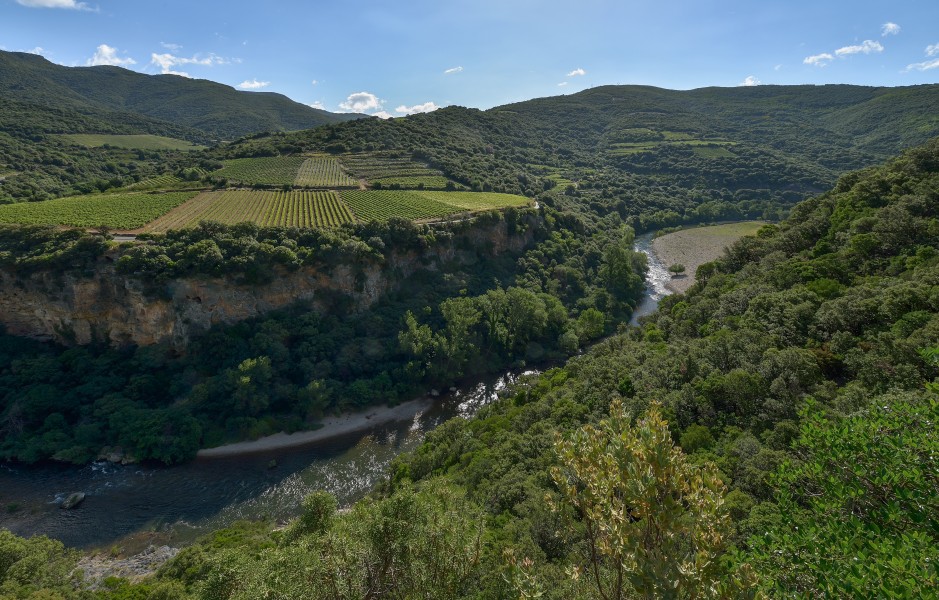Orb River, Vieussan, Hérault 01