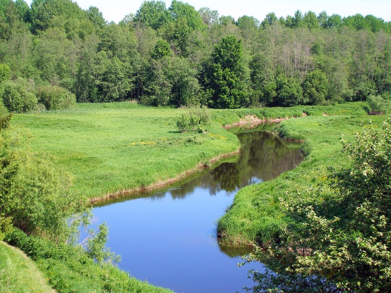 Pedja River at Altmetsa