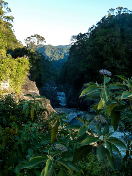 Ranomafana - Andriamamovoka falls