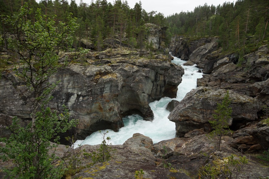 Ridderspranget