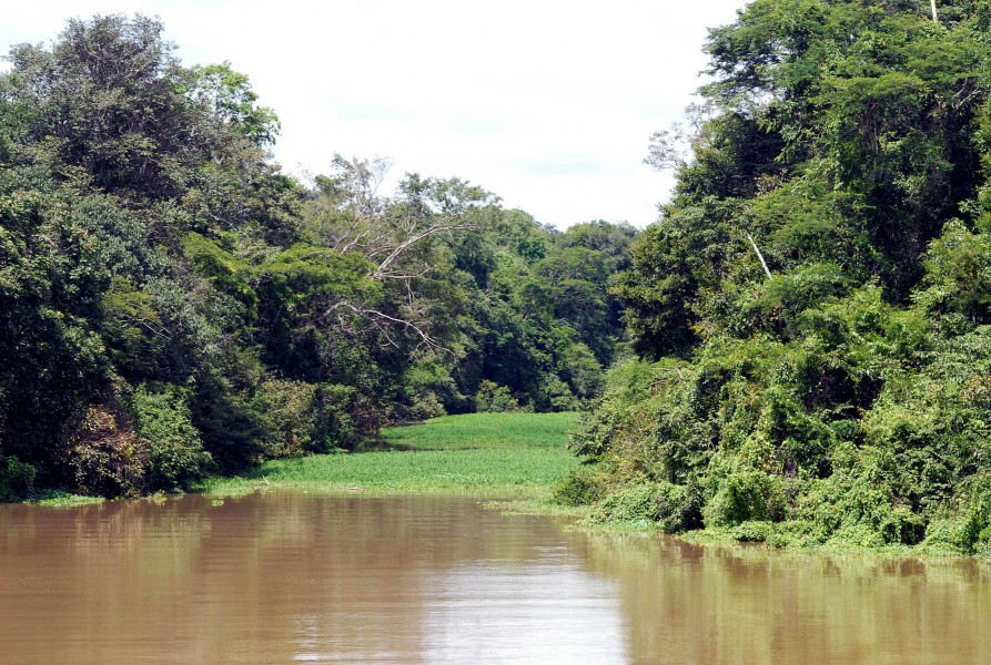 Rio Tefe