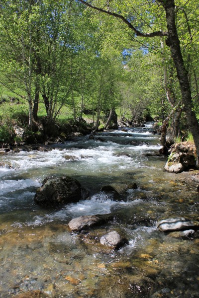 Riu Valira del Nord - 1