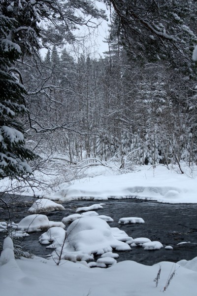 Sanginjoki Oulu 20120106b