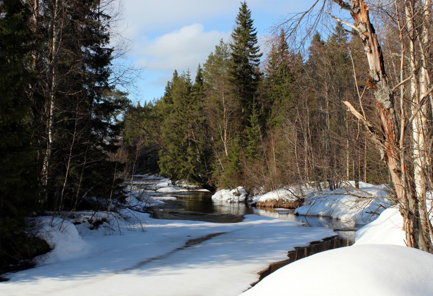Sanginjoki Oulu 20120422c