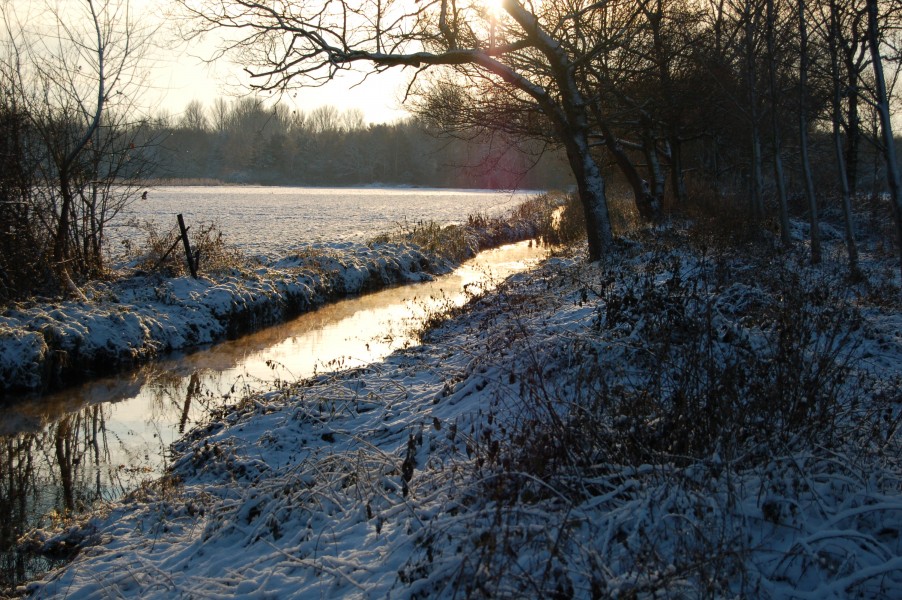 Schaafbach im Schnee