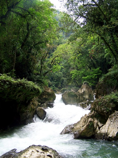 Semuc Champey - Rio Cahabon - Guatemala
