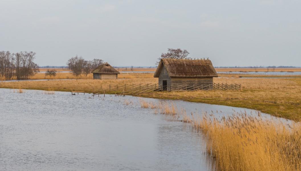Suitsu jõgi Matsalus