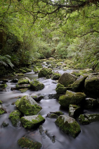 Tautuku River