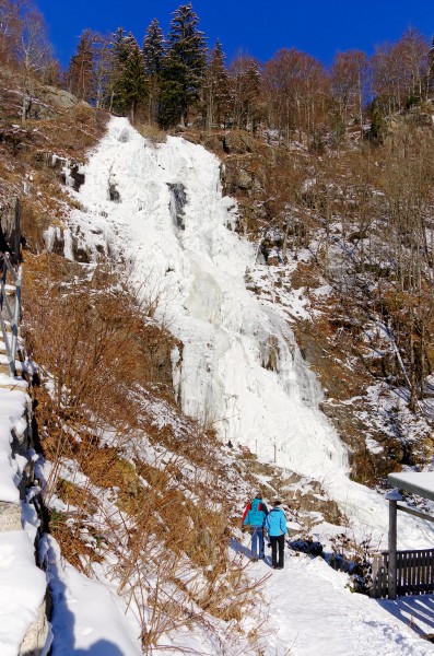 Todtnauer Wasserfall Winter 2620